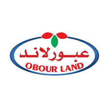 تنفيذ جسات جيوفيزيائية لتحديد بئر لمصنع عبور لاند